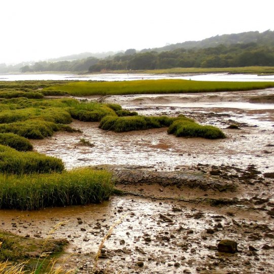 Fond de la Rade de Brest - jpg 